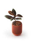 LINA SELF-WATERING & AIR PRUNING PLANTER - TERRACOTTA - VerdiPot