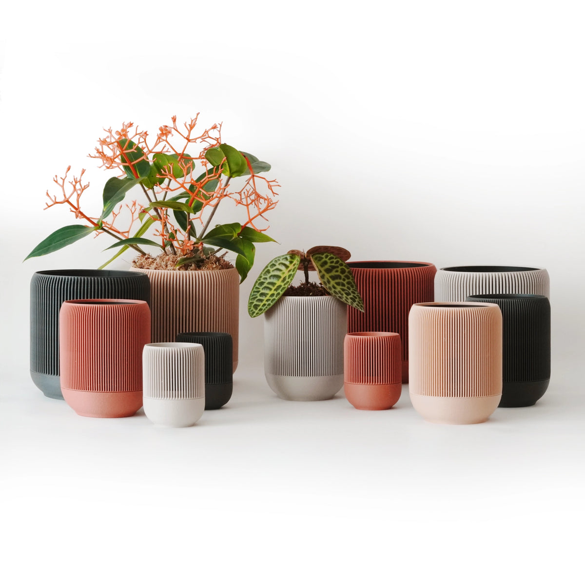 Lina planters in several colors and sizes, some holding plants.