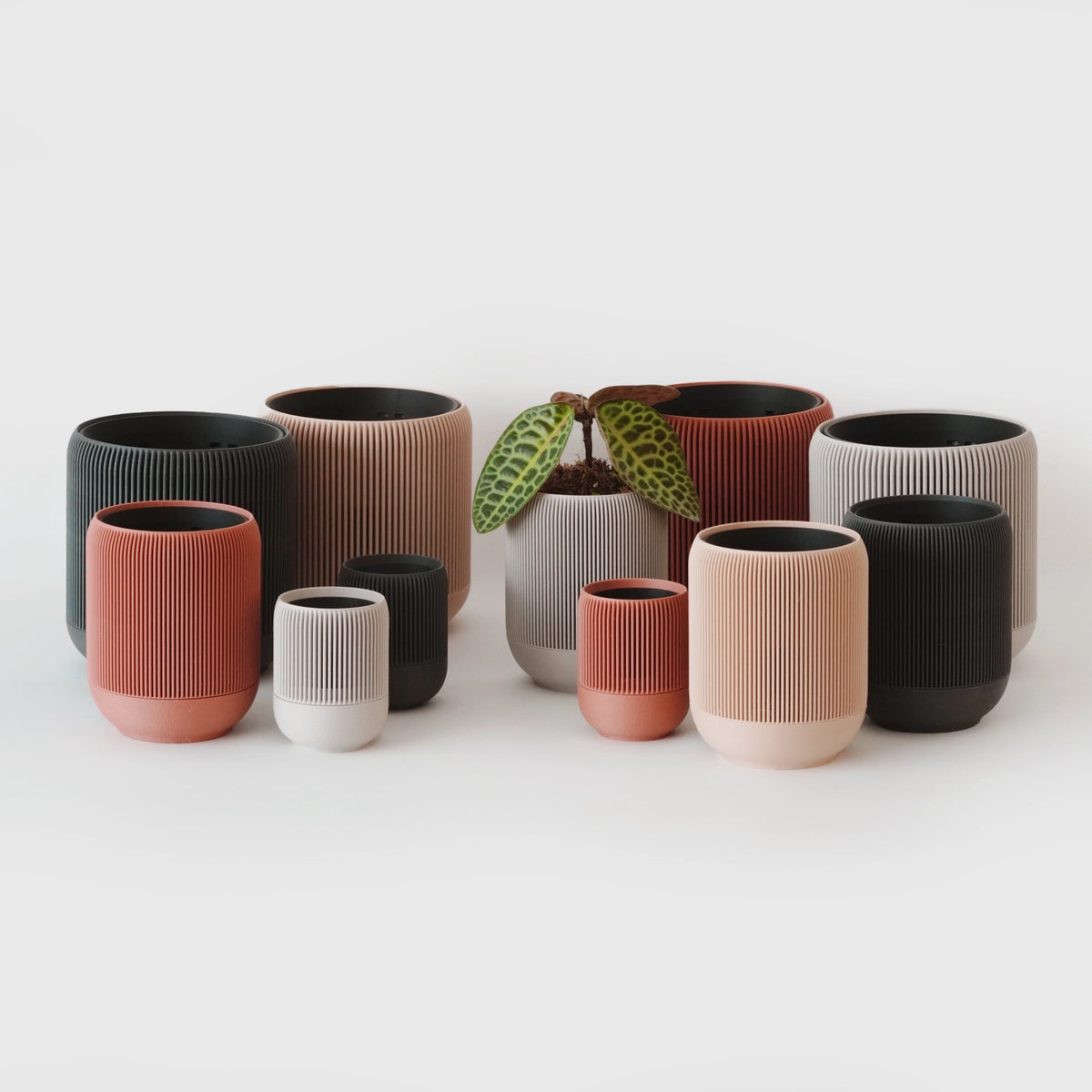 VerdiPot Lina self-watering and air-pruning planters in several colors and sizes, some holding plants.