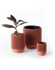 LINA SELF-WATERING & AIR PRUNING PLANTER