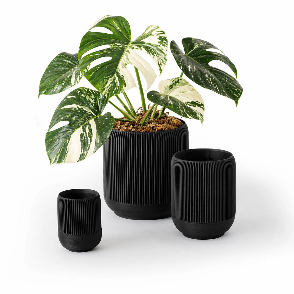 LINA SELF-WATERING & AIR PRUNING PLANTER - BLACK - VerdiPot