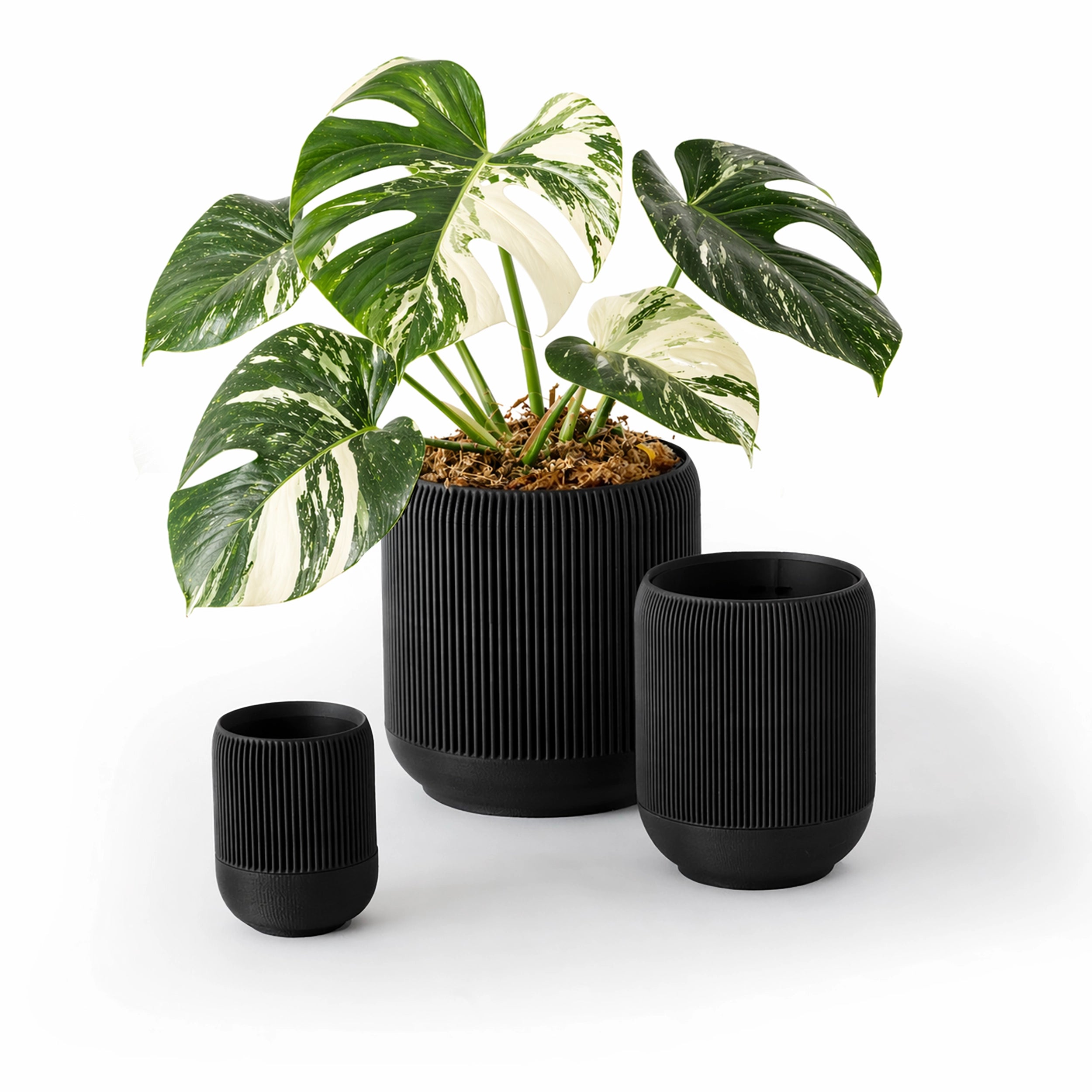 LINA SELF-WATERING &amp; AIR PRUNING PLANTER - BLACK - VerdiPot