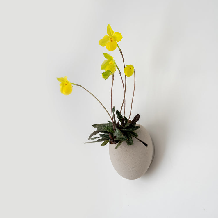 CLOUD SELF-WATERING WALL MOUNT PLANTER - VerdiPot