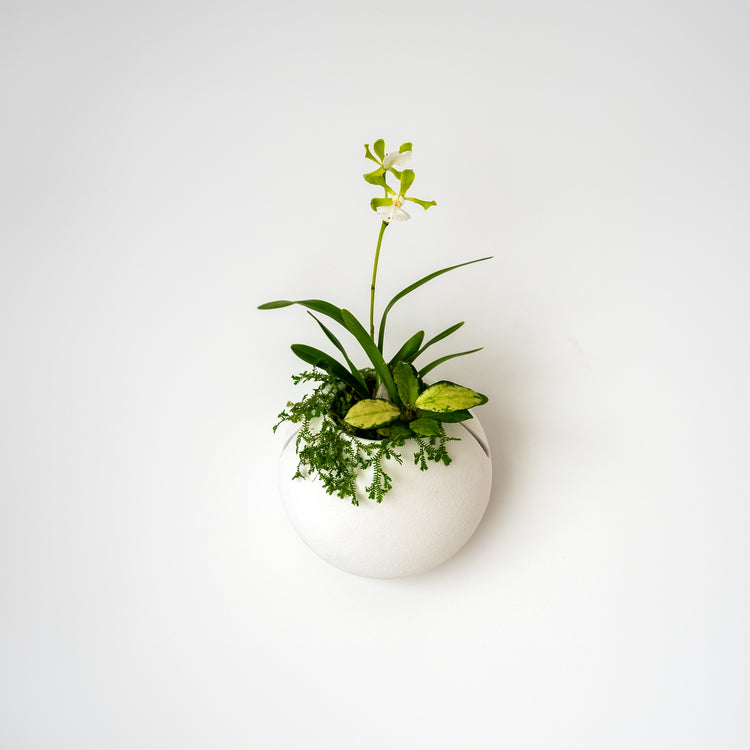 CLOUD SELF-WATERING WALL MOUNT PLANTER - VerdiPot