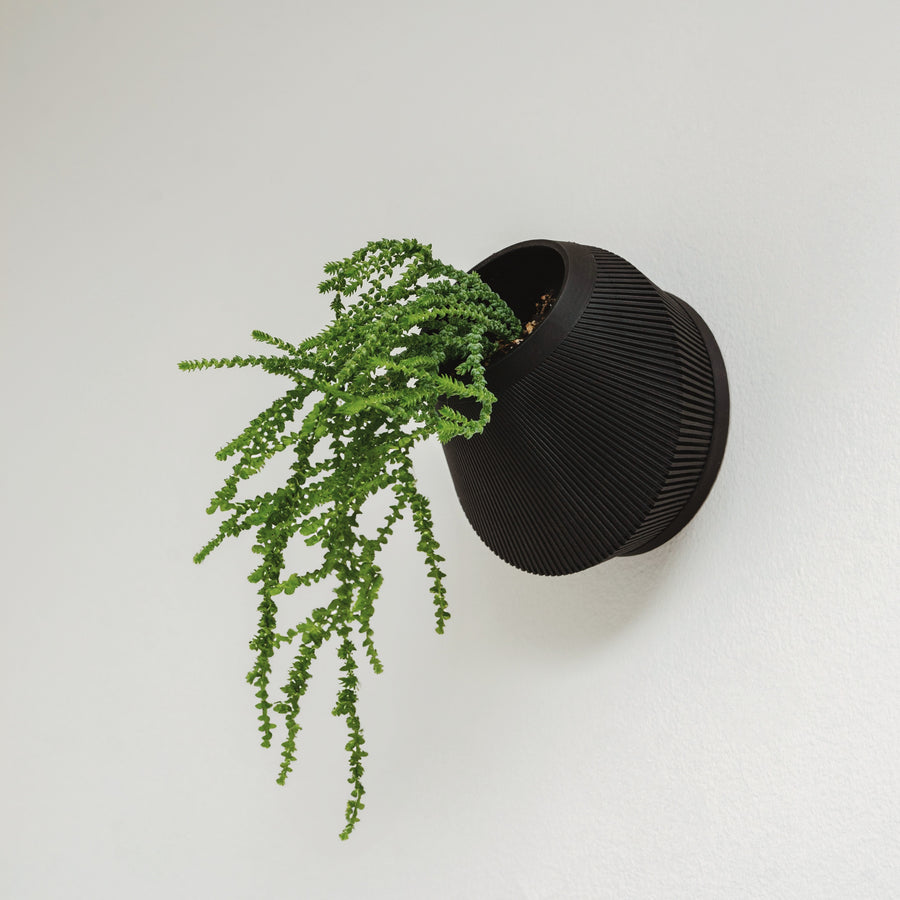 Black Bevel wall planter with trailing foliage.
