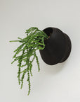 BEVEL SELF-WATERING WALL MOUNT PLANTER