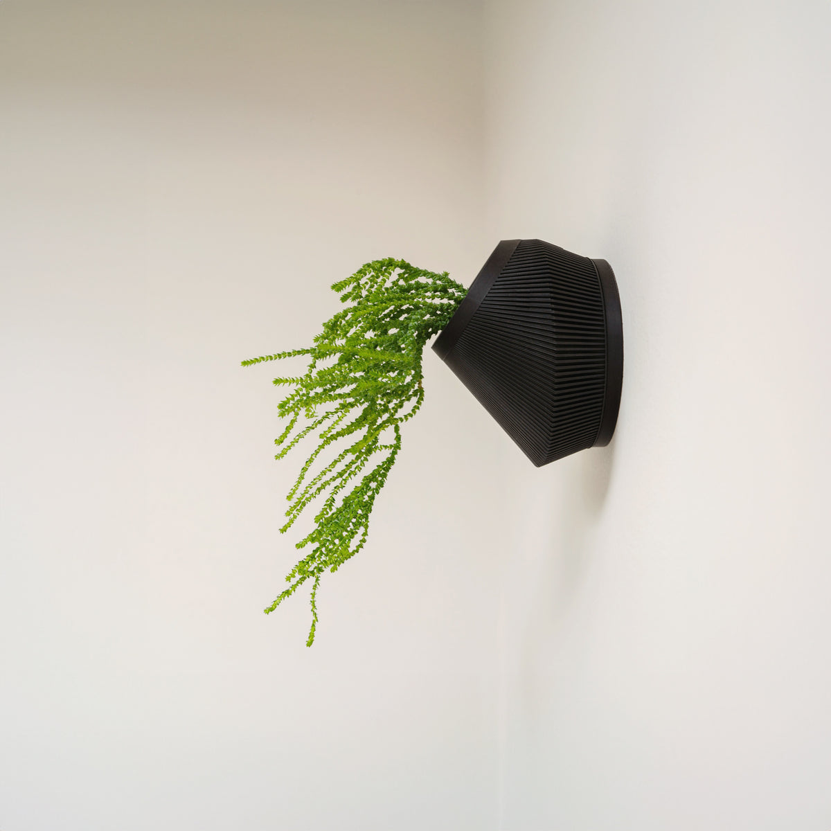 BEVEL SELF-WATERING WALL MOUNT PLANTER - VerdiPot