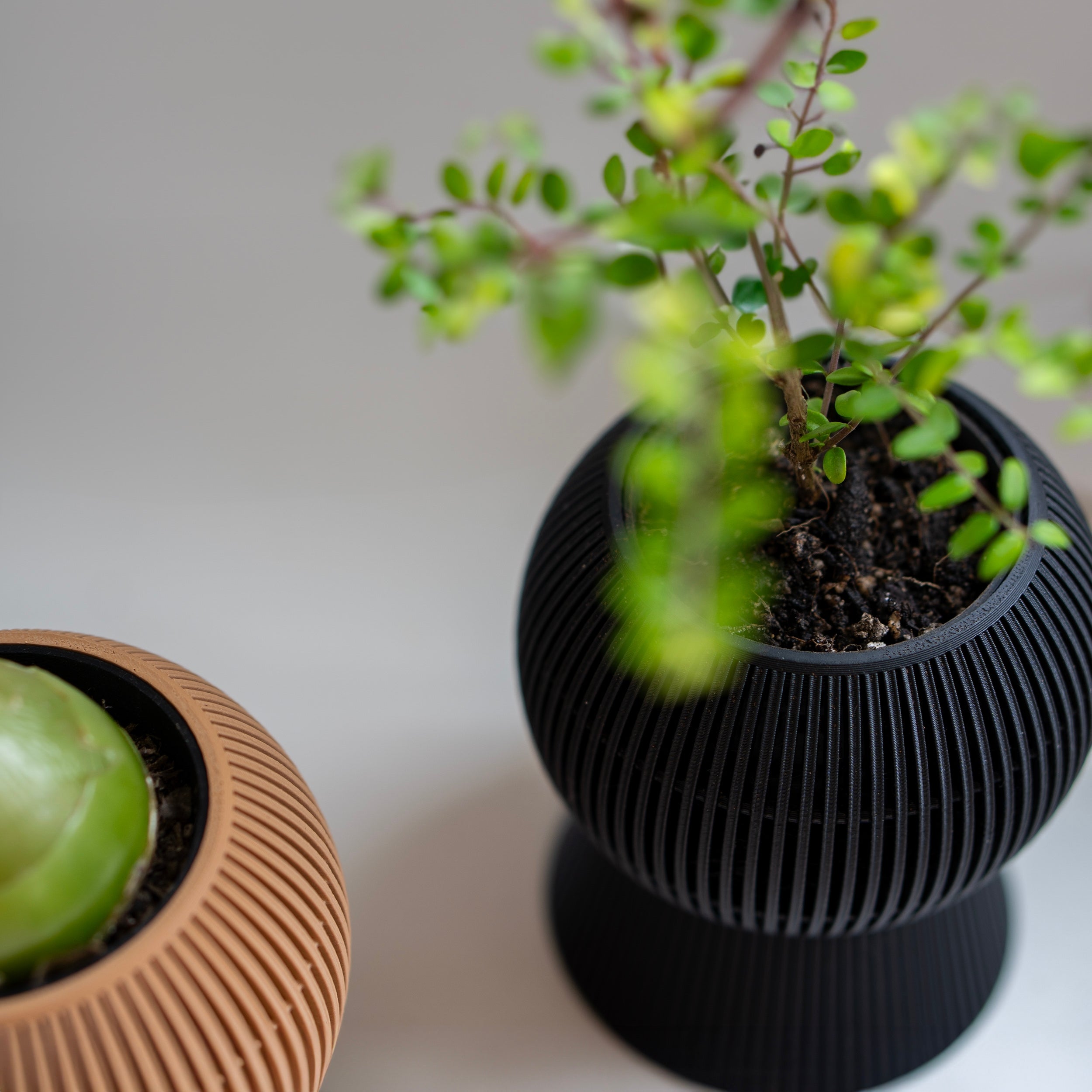 BALLOON SELF-WATERING PLANTER