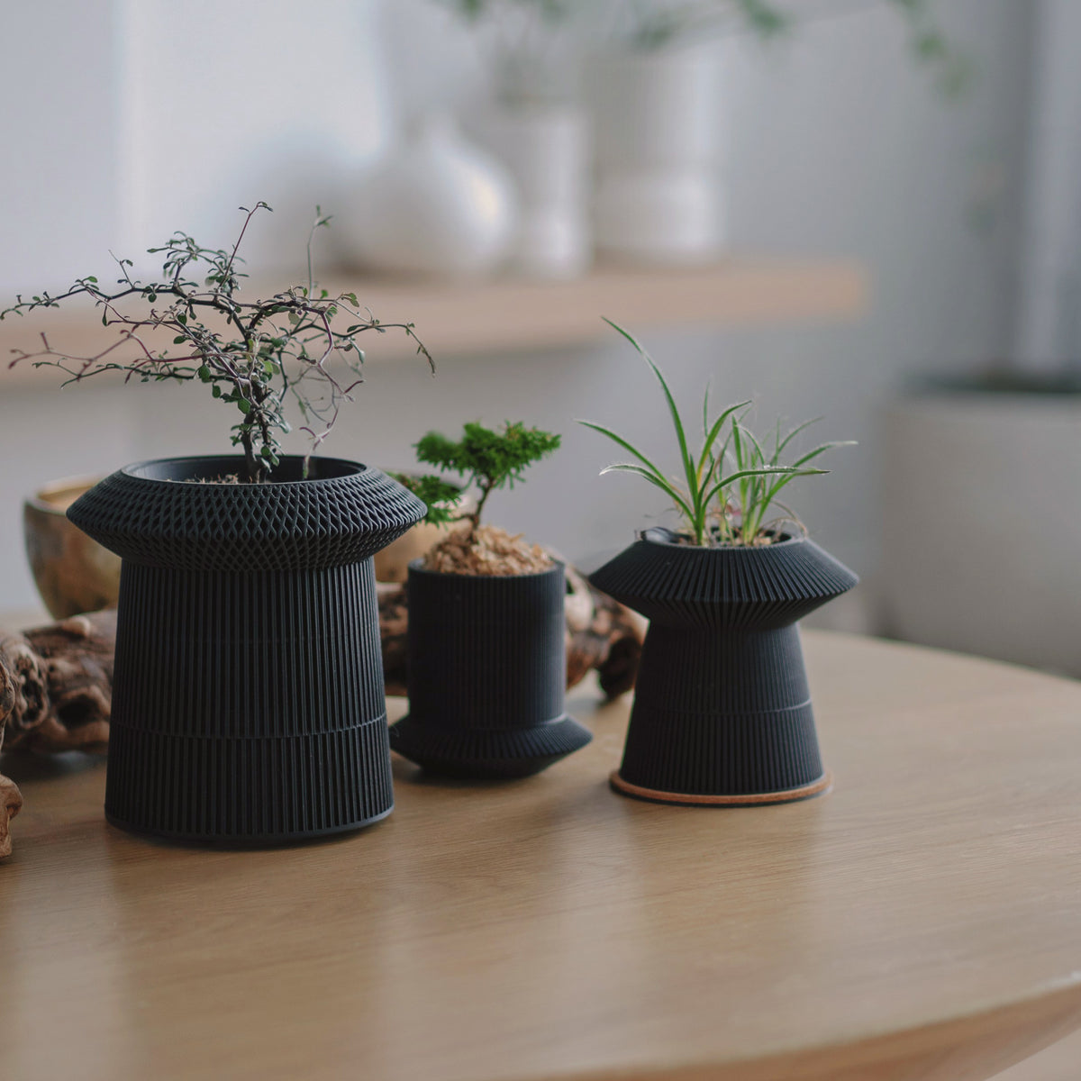 Black VerdiPot Revolve and Koshido self-watering and air-pruning planters holding leafy plants on a wooden surface.