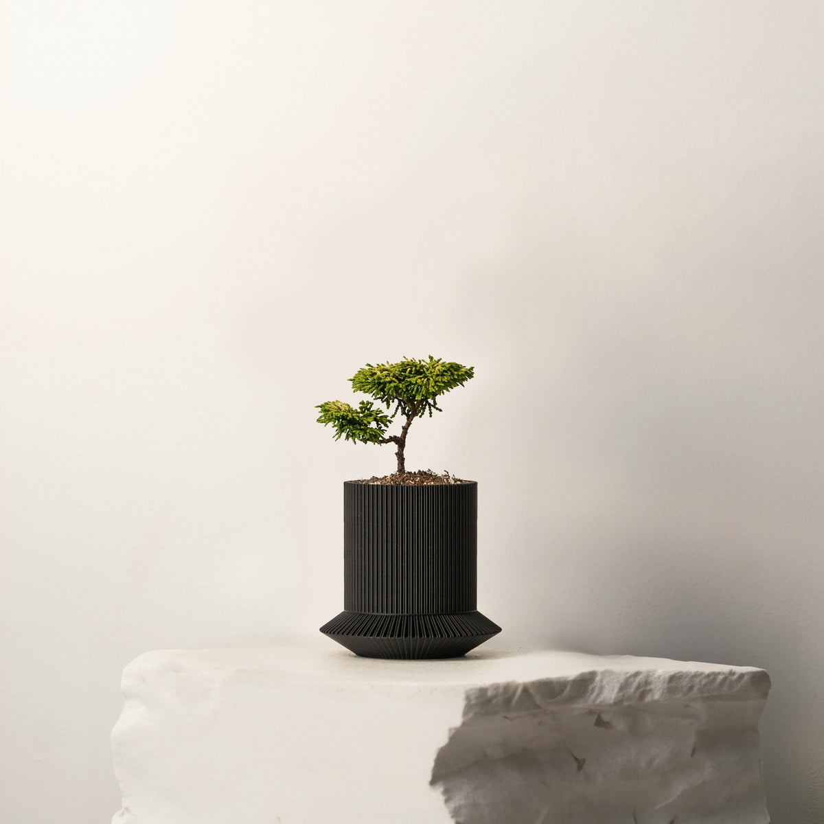 KOSHIDO SELF-WATERING PLANTER - VerdiPot