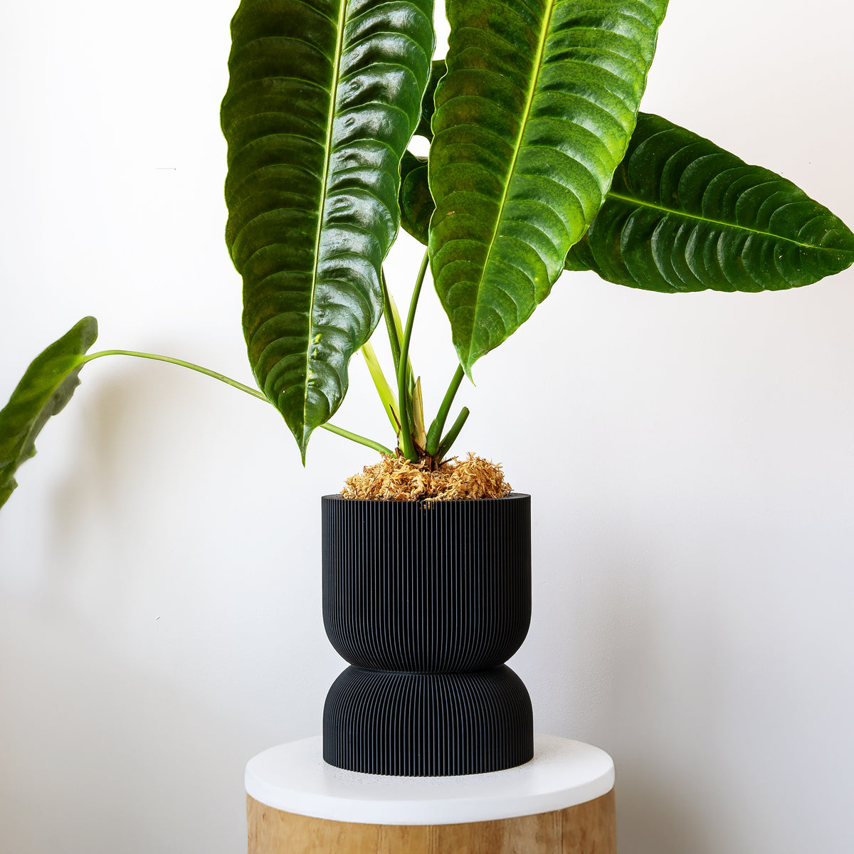 REFLECTION SELF-WATERING PLANTER - VerdiPot