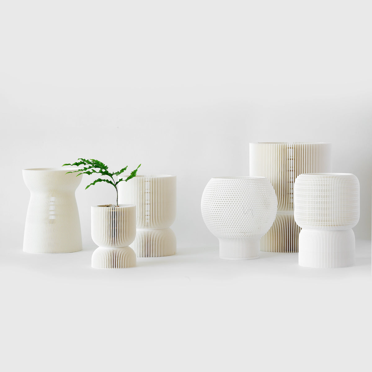 Six white VerdiPot sculptural planters in varied lattice forms, including one holding a small fern.