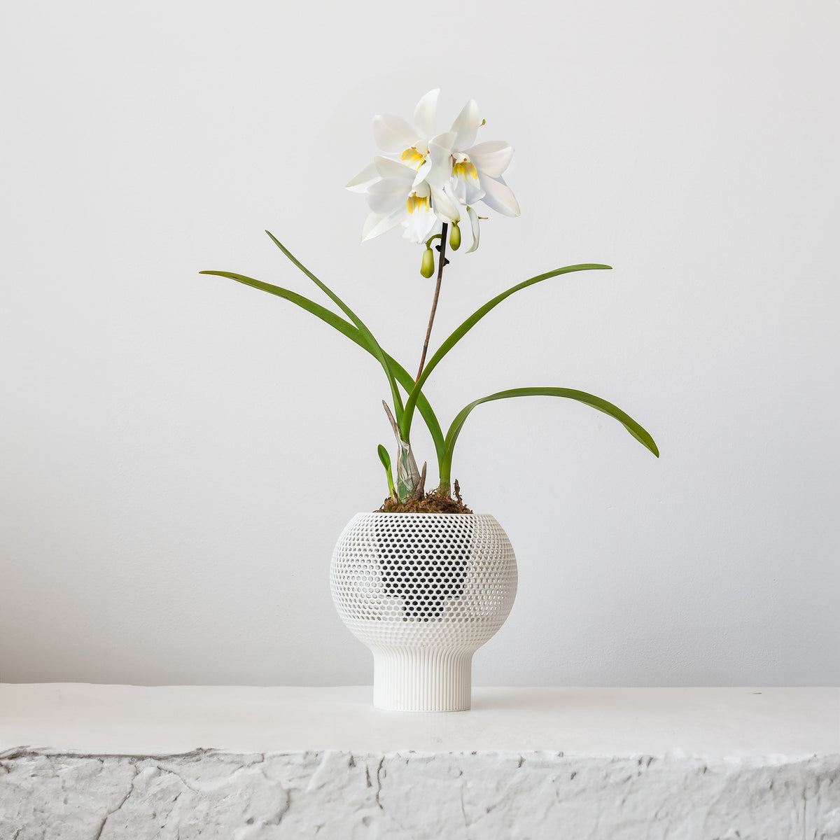 CLOUD SELF-WATERING PLANTER - VerdiPot