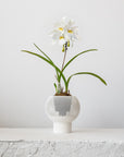 CLOUD INDOOR PLANTER