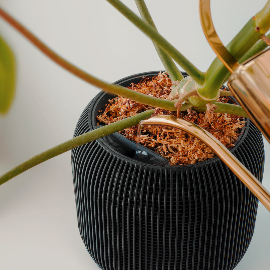Water being added through a Luxe planter’s Easy Fill opening.