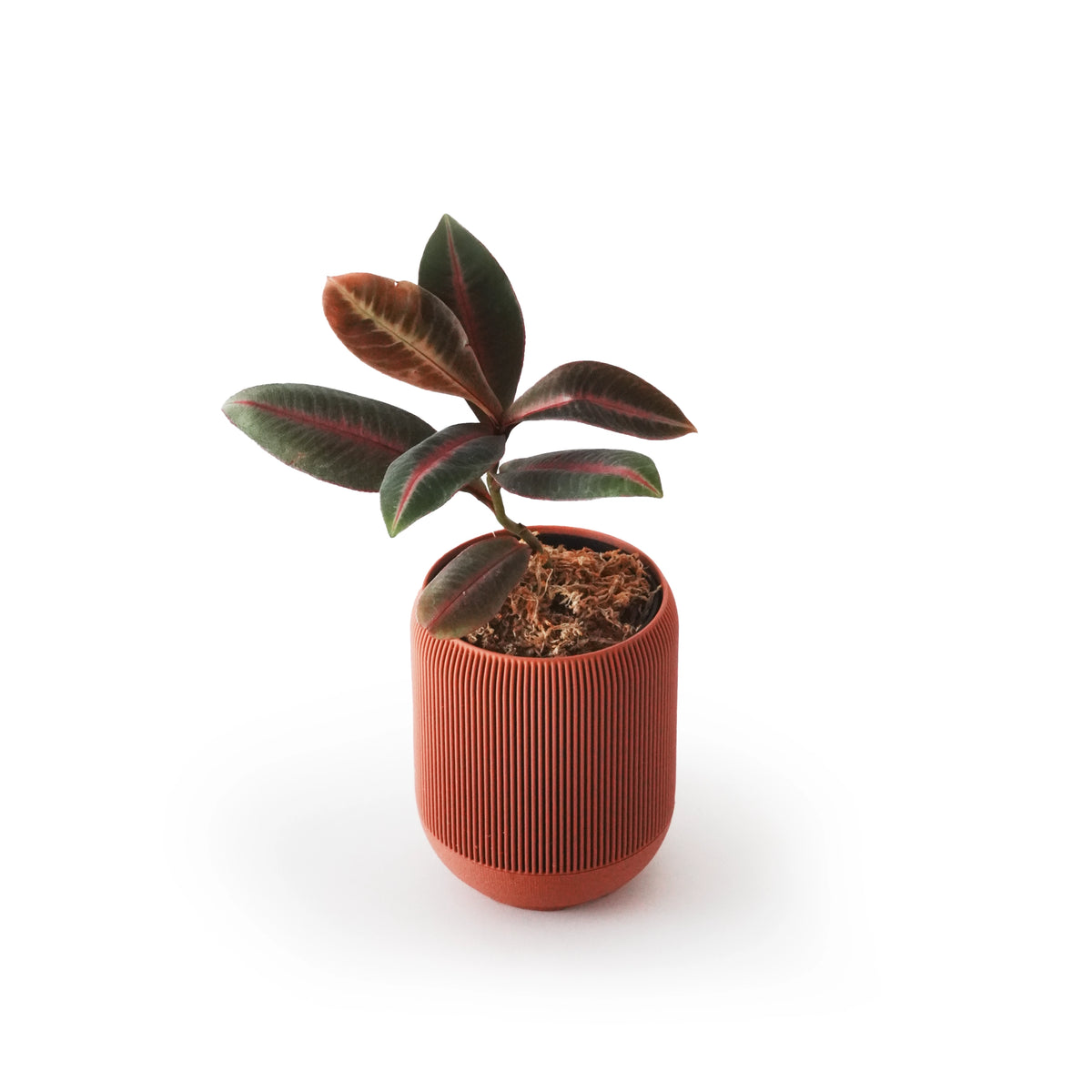 LINA SELF-WATERING & AIR PRUNING PLANTER - TERRACOTTA - VerdiPot