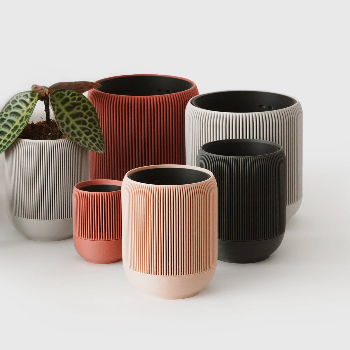 VerdiPot Lina self-watering and air-pruning planters in several colors and sizes, including one with a leafy plant.