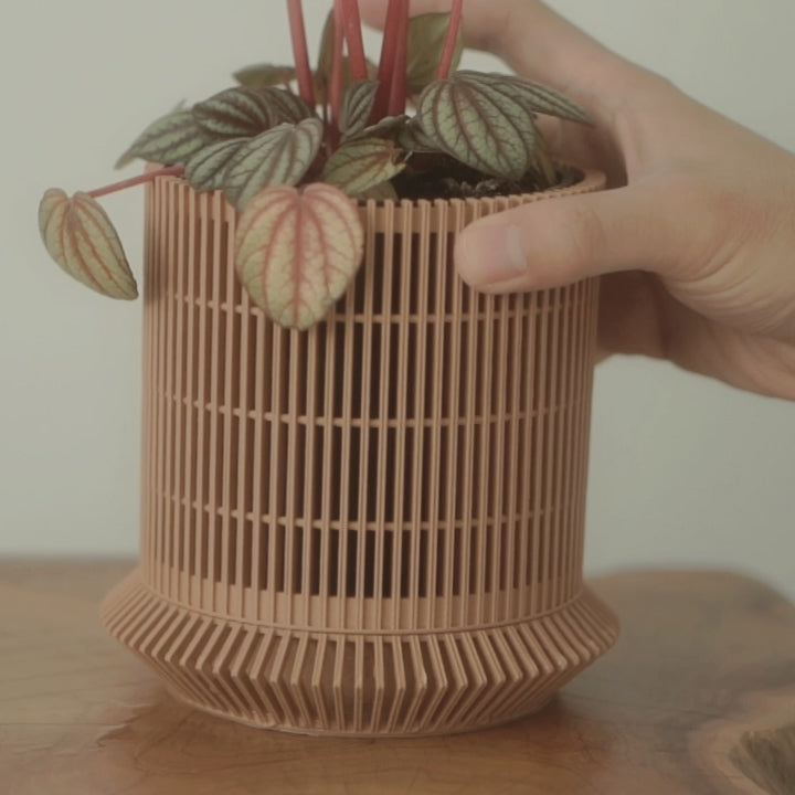 Hand holding a brown lattice planter with a striped-leaf plant.