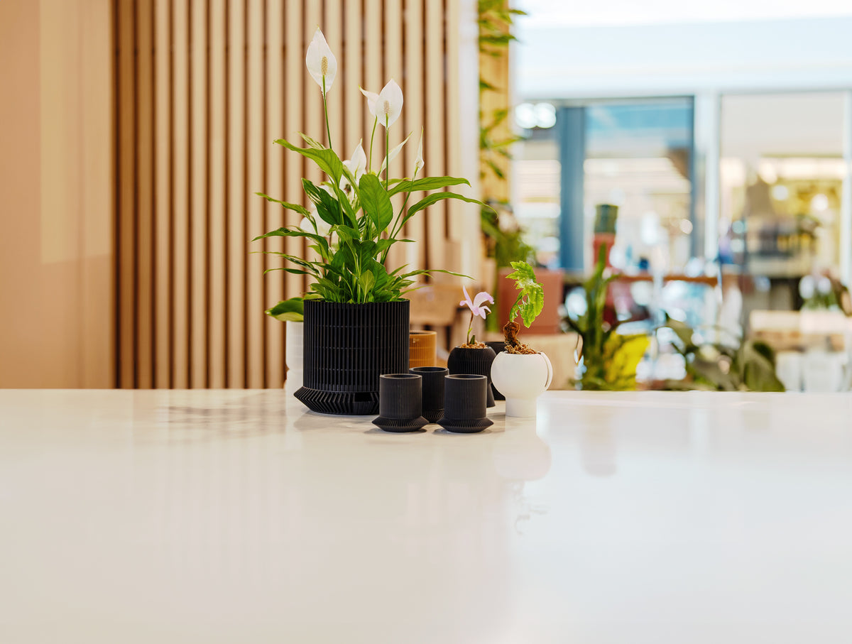Black and white planters displayed on a shop counter.